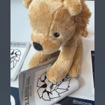 Welcome to the Lions’Log